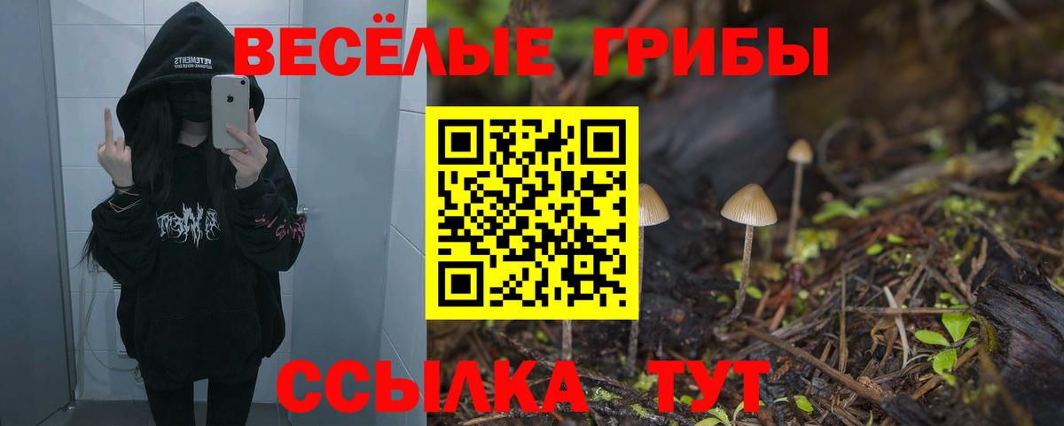 Галлюциногенные грибы прущие грибы  Вход с VPN  Галлюциногенные грибы мицелий  Аксай 