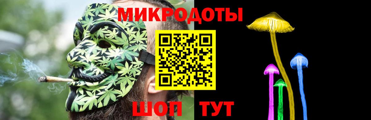 Галлюциногенные грибы Psilocybine cubensis Аксай